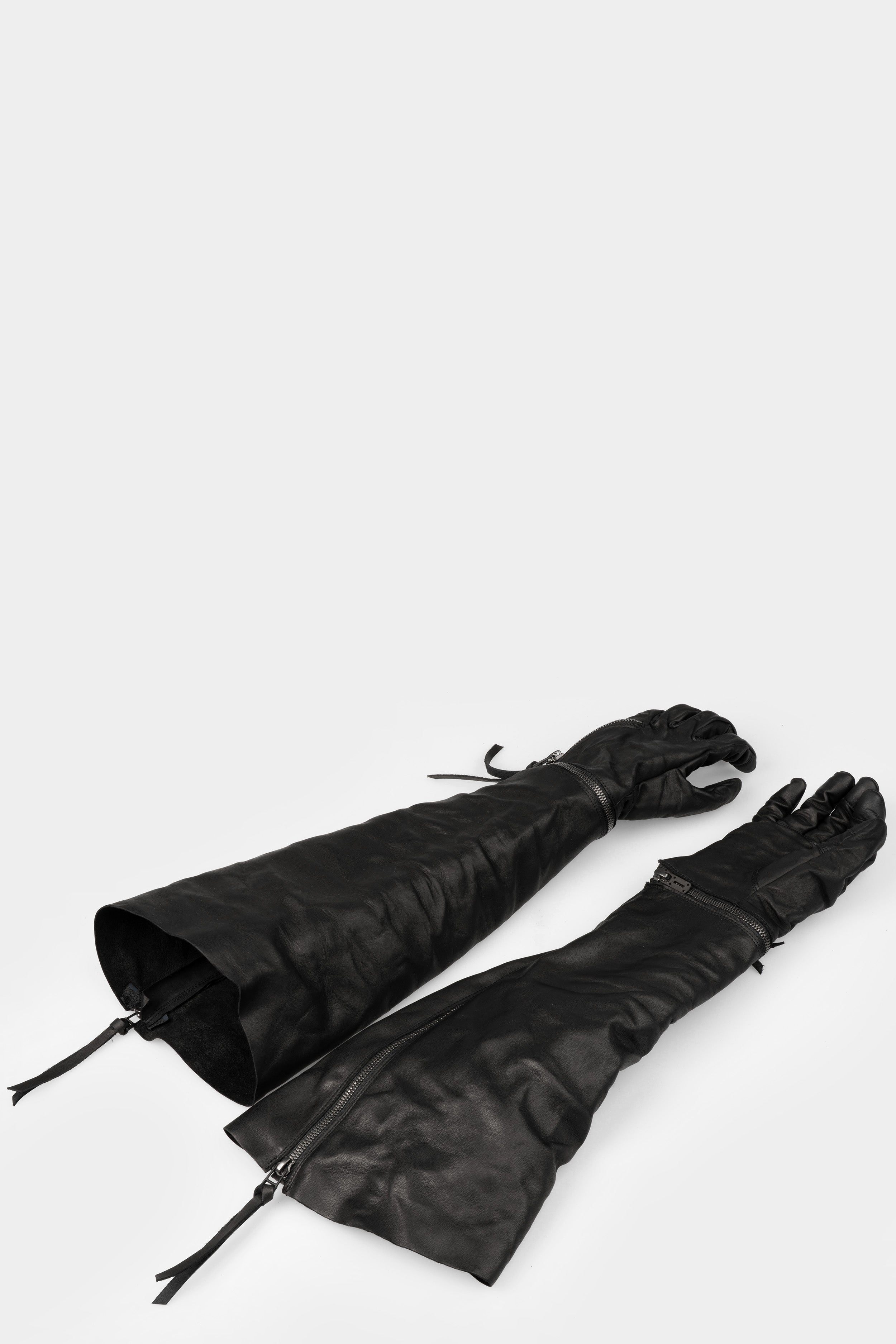 new arrival